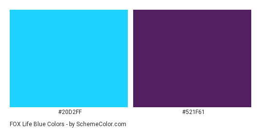 FOX life blue - Color scheme palette thumbnail - #20d2ff #521f61 