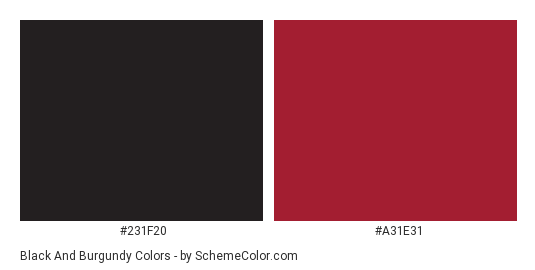 Black and Burgundy - Color scheme palette thumbnail - #231f20 #a31e31 