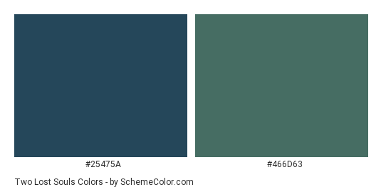 Two Lost Souls - Color scheme palette thumbnail - #25475A #466D63 