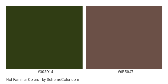Not Familiar - Color scheme palette thumbnail - #303d14 #6b5047 