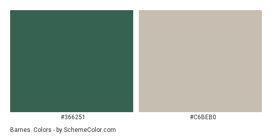 Barnes & Noble Logo - Color scheme palette thumbnail - #366251 #c6beb0 