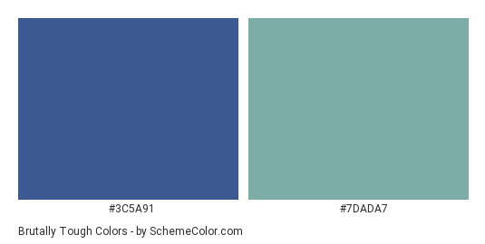 Brutally Tough - Color scheme palette thumbnail - #3c5a91 #7dada7 