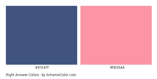 Right Answer - Color scheme palette thumbnail - #41547f #fb95a6 
