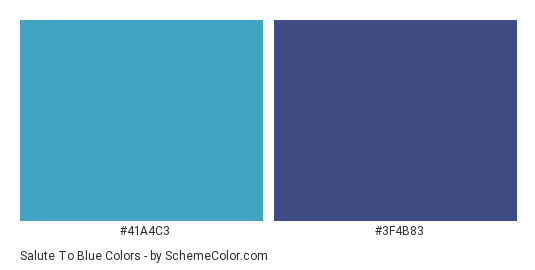 Salute to Blue - Color scheme palette thumbnail - #41A4C3 #3F4B83 