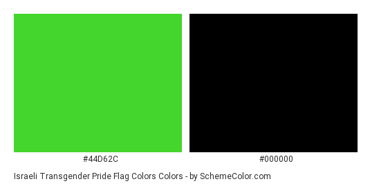 Israeli Transgender Pride Flag Colors - Color scheme palette thumbnail - #44D62C #000000 