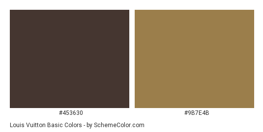 Louis Vuitton Basic - Color scheme palette thumbnail - #453630 #9b7e4b 