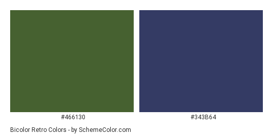 Bicolor Retro - Color scheme palette thumbnail - #466130 #343b64 
