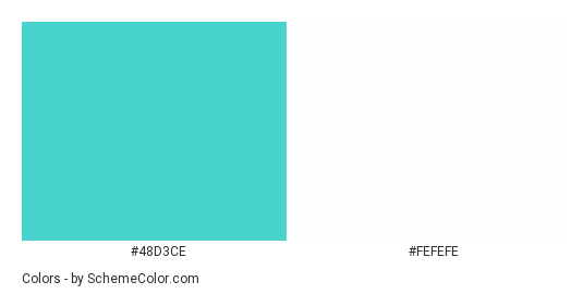Turquoise House - Color scheme palette thumbnail - #48d3ce #fefefe 
