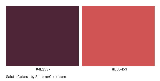Salute - Color scheme palette thumbnail - #4e2537 #d05453 