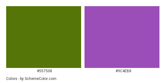Purple Bellflowers - Color scheme palette thumbnail - #557508 #9C4EB8 