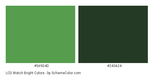 LCD Watch Bright - Color scheme palette thumbnail - #569d4d #243a24 