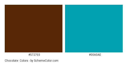 Chocolate & Teal - Color scheme palette thumbnail - #572703 #00a0ae 