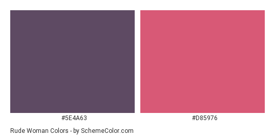 Rude Woman - Color scheme palette thumbnail - #5E4A63 #D85976 