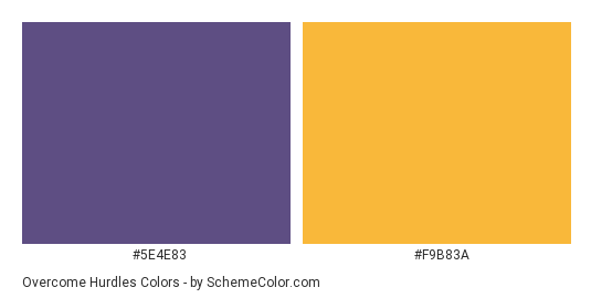 Overcome Hurdles - Color scheme palette thumbnail - #5e4e83 #f9b83a 