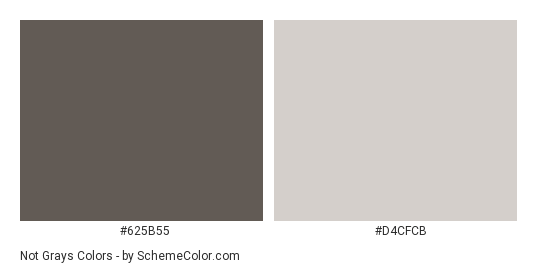 Not Grays - Color scheme palette thumbnail - #625B55 #D4CFCB 