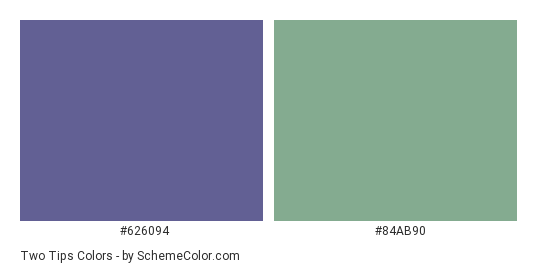 Two Tips - Color scheme palette thumbnail - #626094 #84AB90 