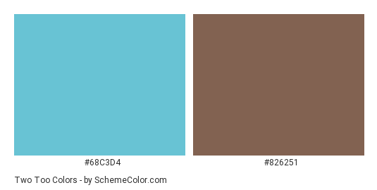 Two Too - Color scheme palette thumbnail - #68C3D4 #826251 