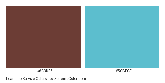 Learn to Survive - Color scheme palette thumbnail - #6C3D35 #5CBECE 