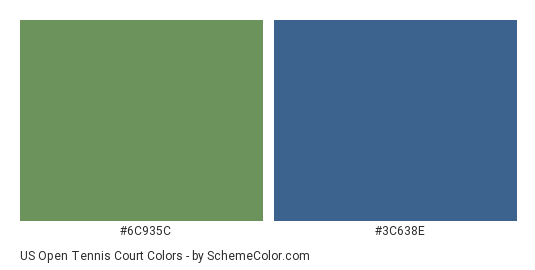 US Open Tennis Court - Color scheme palette thumbnail - #6C935C #3C638E 