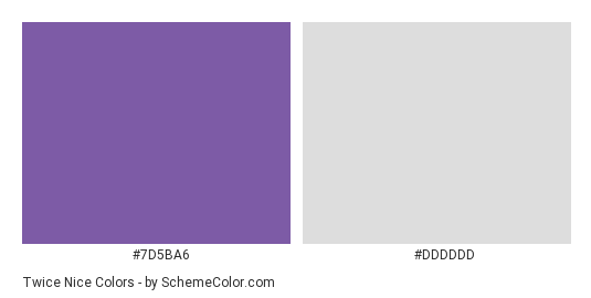 Twice Nice - Color scheme palette thumbnail - #7D5BA6 #DDDDDD 