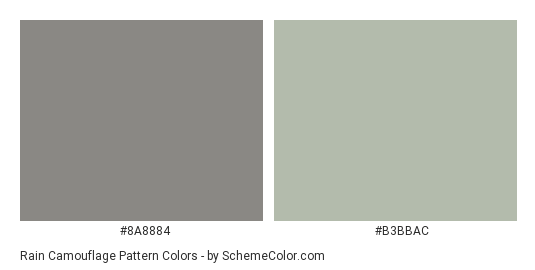 Rain Camouflage Pattern - Color scheme palette thumbnail - #8a8884 #b3bbac 