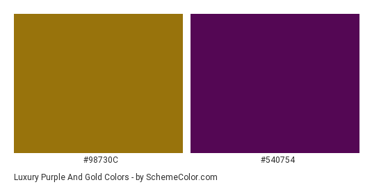 Luxury Purple and Gold - Color scheme palette thumbnail - #98730C #540754 