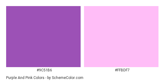 Purple And Pink - Color scheme palette thumbnail - #9C51B6 #FFBDF7 