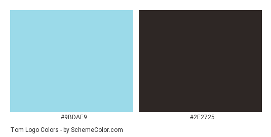 Tom Logo - Color scheme palette thumbnail - #9bdae9 #2e2725 