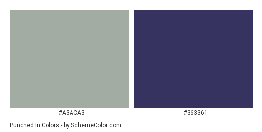 Punched In - Color scheme palette thumbnail - #A3ACA3 #363361 