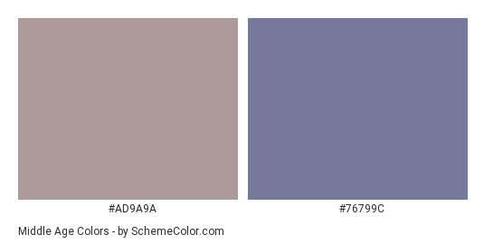 Middle Age - Color scheme palette thumbnail - #AD9A9A #76799C 