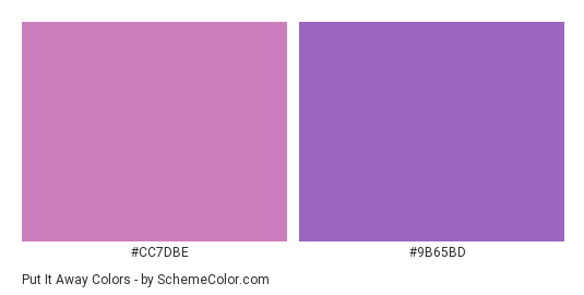 Put it Away - Color scheme palette thumbnail - #CC7DBE #9B65BD 
