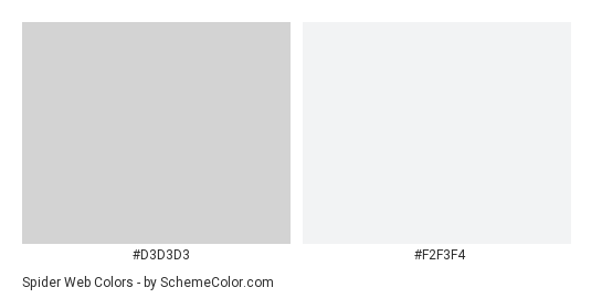 Spider Web - Color scheme palette thumbnail - #D3D3D3 #F2F3F4 