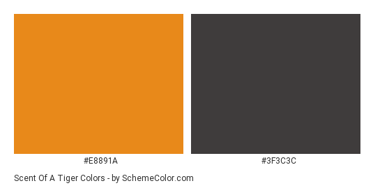 Scent of a Tiger - Color scheme palette thumbnail - #E8891A #3F3C3C 