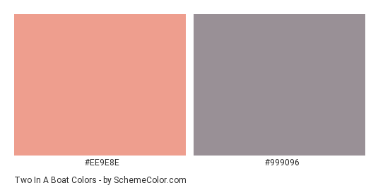 Two in a Boat - Color scheme palette thumbnail - #EE9E8E #999096 
