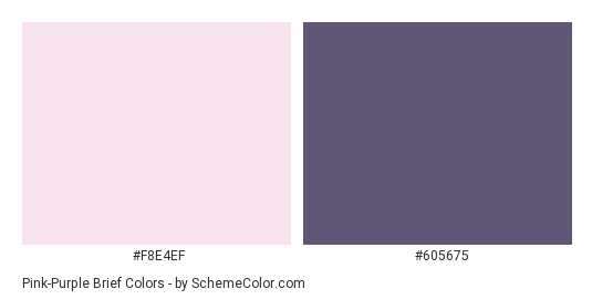 Pink-Purple Brief - Color scheme palette thumbnail - #F8E4EF #605675 