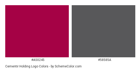 Cementir Holding Logo - Color scheme palette thumbnail - #a50245 #58585a 