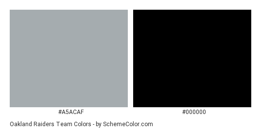 Oakland Raiders Team - Color scheme palette thumbnail - #a5acaf #000000 