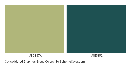Consolidated Graphics Group - Color scheme palette thumbnail - #b0b67a #1e5152 