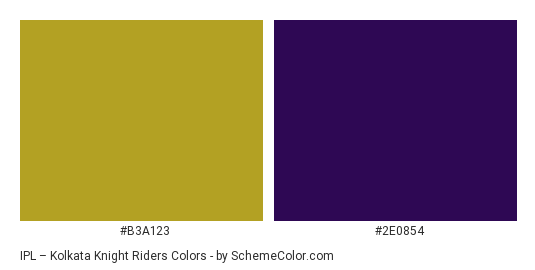IPL – Kolkata Knight Riders - Color scheme palette thumbnail - #b3a123 #2e0854 