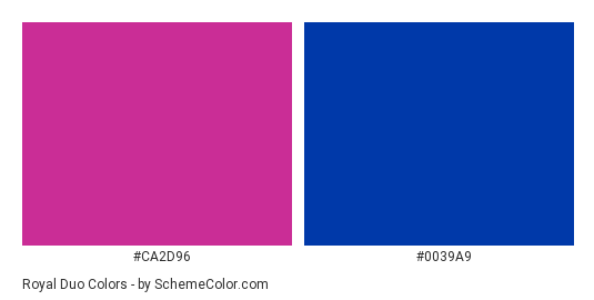 Royal Duo - Color scheme palette thumbnail - #ca2d96 #0039a9 