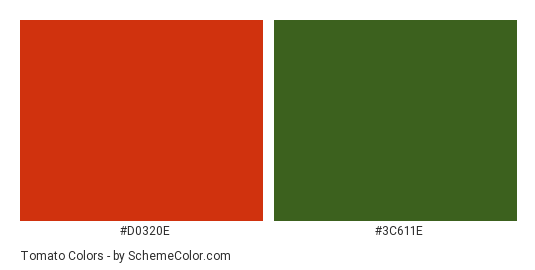 Tomato - Color scheme palette thumbnail - #d0320e #3c611e 