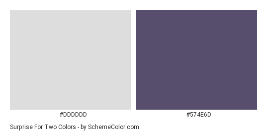 Surprise for Two - Color scheme palette thumbnail - #dddddd #574e6d 