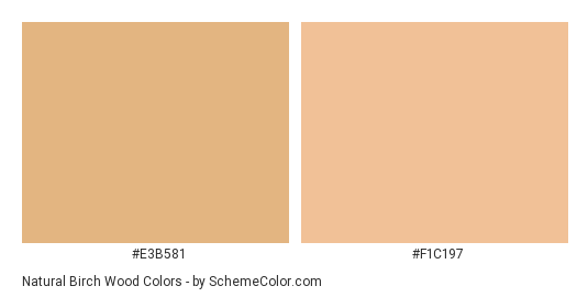 Natural Birch Wood - Color scheme palette thumbnail - #e3b581 #f1c197 