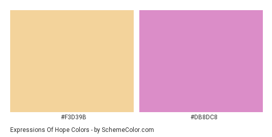 Expressions of Hope - Color scheme palette thumbnail - #f3d39b #db8dc8 