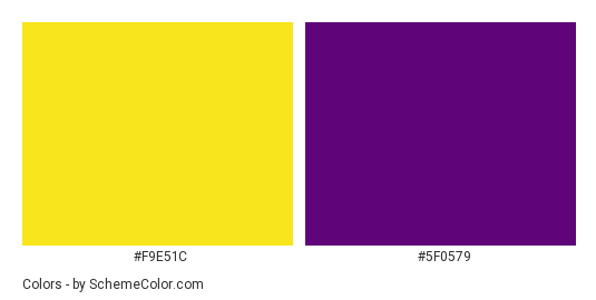 Pansy Flower - Color scheme palette thumbnail - #f9e51c #5f0579 