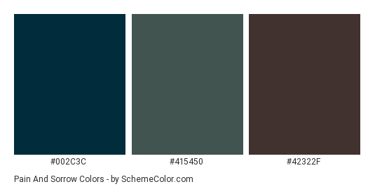 Pain and Sorrow - Color scheme palette thumbnail - #002C3C #415450 #42322f 