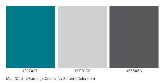 Man of Little Earnings - Color scheme palette thumbnail - #007A87 #CED1CC #565A5C 