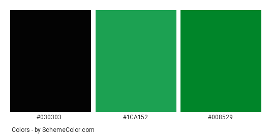 Matrix Green Characters Screen - Color scheme palette thumbnail - #030303 #1ca152 #008529 