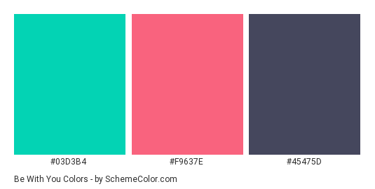 Be With You - Color scheme palette thumbnail - #03d3b4 #f9637e #45475d 