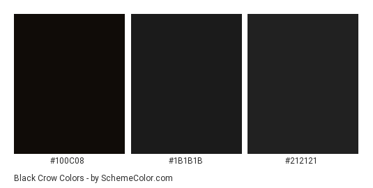 Black Crow - Color scheme palette thumbnail - #100C08 #1B1B1B #212121 